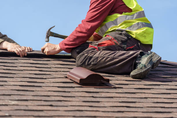 Best Roof Gutter Cleaning  in Central City, KY