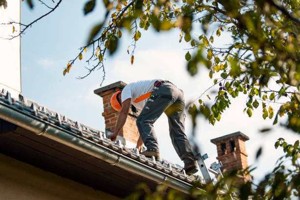 Best Storm Damage Roof Repair  in Central City, KY