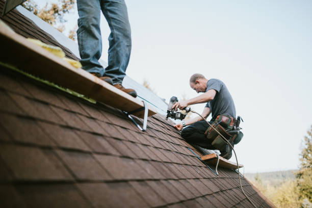 Best Roof Maintenance Services  in Central City, KY